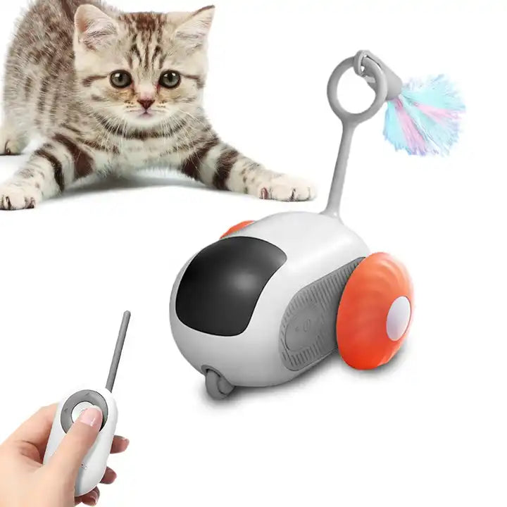 best cat toys