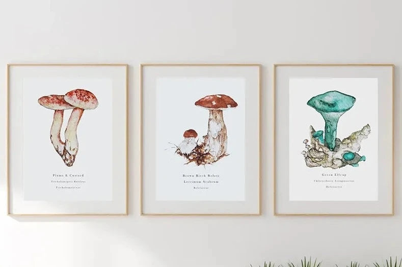 canva mushroom iphone case with detachable wallet mushroom poster