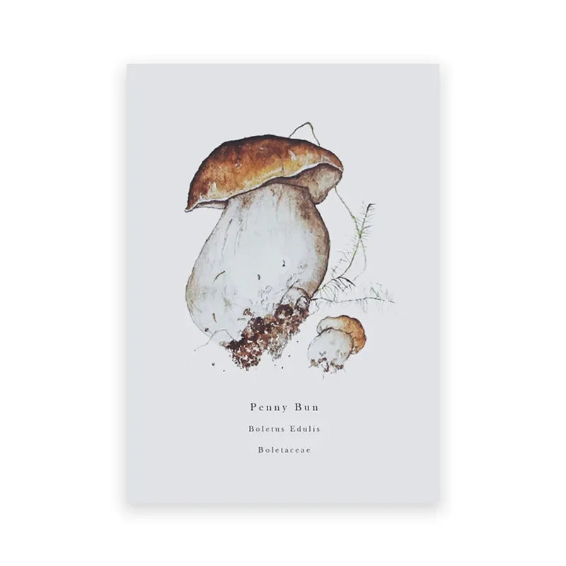 frog wall art frog prints frog cute pictures mushroom and frog cottagecore frog poster frog print