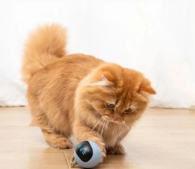 automatic toys for cats intelligent cat toys smart cat ball cat smart ball