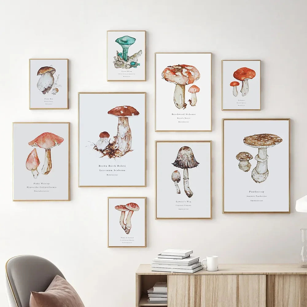 picture mushrooms mushroom wall painting pictures mushrooms mushroom canvas shroom strains with pictures mushroom illustration